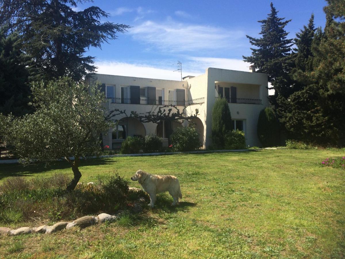 Chambre D'Hotes Villa Cote Vermeille Argelès-sur-Mer Eksteriør bilde