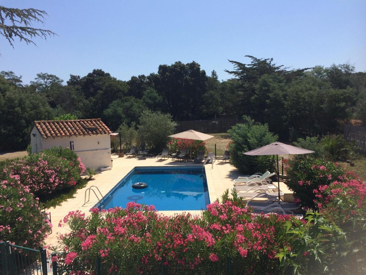 Chambre D'Hotes Villa Cote Vermeille Argelès-sur-Mer Eksteriør bilde