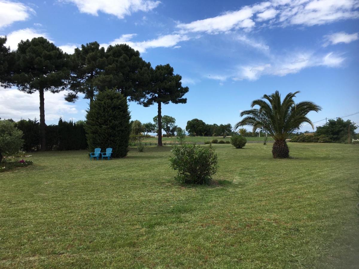 Chambre D'Hotes Villa Cote Vermeille Argelès-sur-Mer Eksteriør bilde